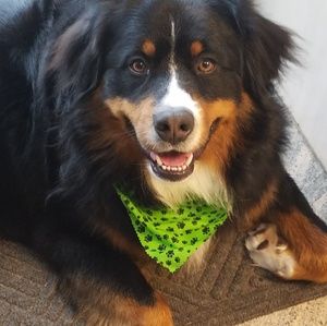 Meet your Posher, Cristina